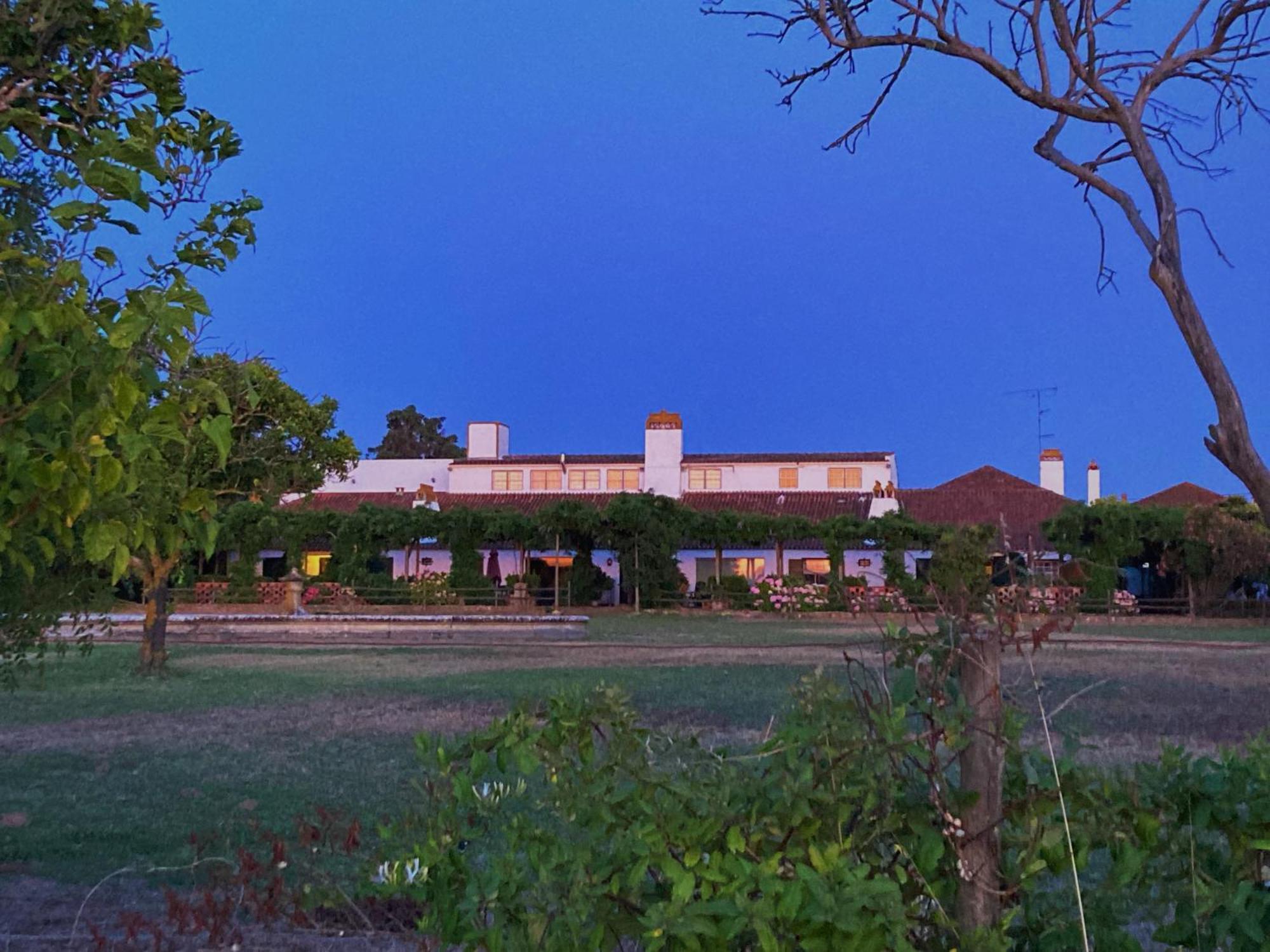 Вілла Quinta Do Casalinho - Benfica Do Ribatejo Екстер'єр фото