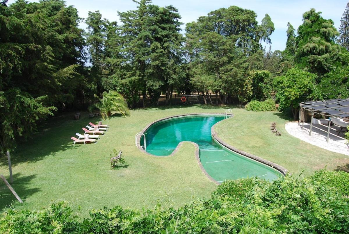 Вілла Quinta Do Casalinho - Benfica Do Ribatejo Екстер'єр фото