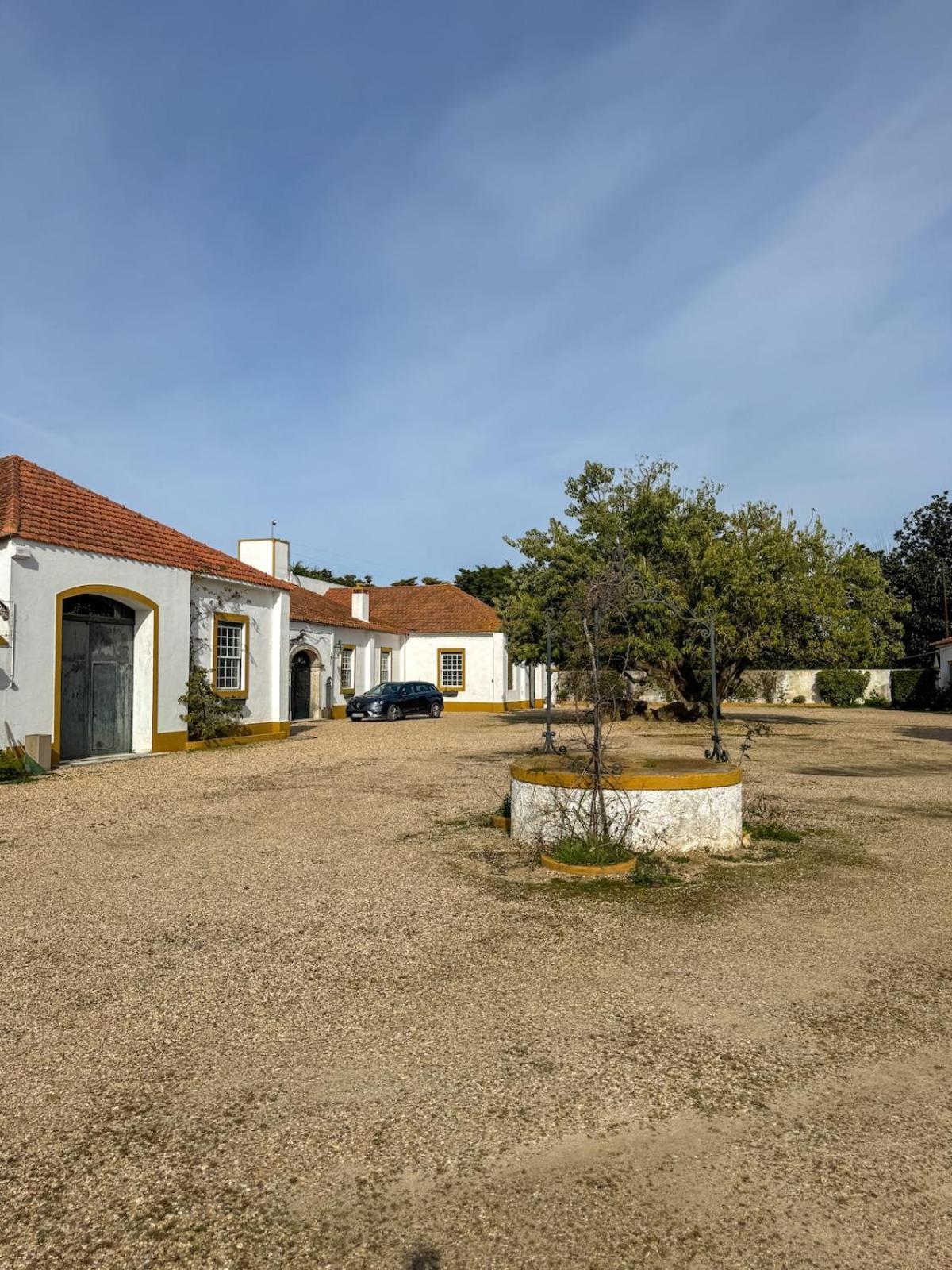 Вілла Quinta Do Casalinho - Benfica Do Ribatejo Екстер'єр фото