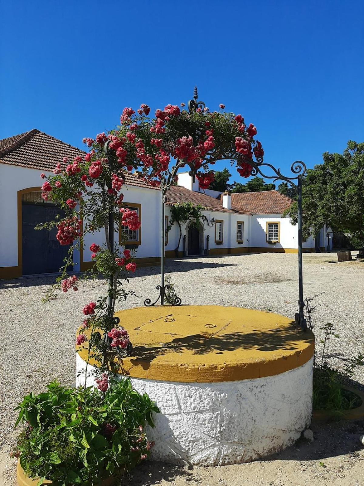 Вілла Quinta Do Casalinho - Benfica Do Ribatejo Екстер'єр фото